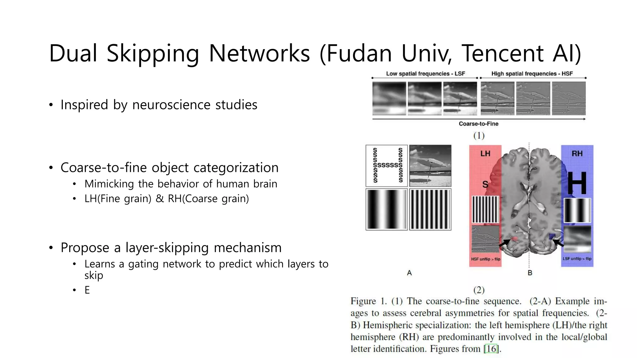 Dual Skipping Networks (Fudan Univ, Tencent AI)
• Inspired by neuroscience studies
• Coarse-to-fine object categorization
• Mimicking the behavior of human brain
• LH(Fine grain) & RH(Coarse grain)
• Propose a layer-skipping mechanism
• Learns a gating network to predict which layers to
skip
• E
 