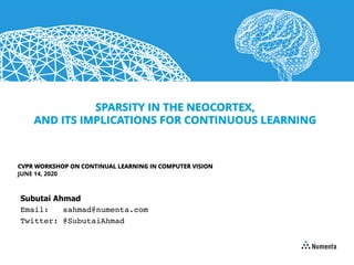 SPARSITY IN THE NEOCORTEX,
AND ITS IMPLICATIONS FOR CONTINUOUS LEARNING
CVPR WORKSHOP ON CONTINUAL LEARNING IN COMPUTER VISION
JUNE 14, 2020
Subutai Ahmad
Email: sahmad@numenta.com
Twitter: @SubutaiAhmad
 