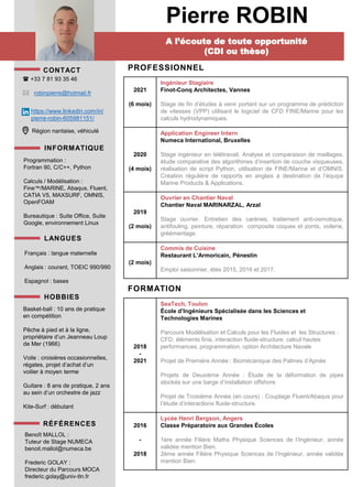 CV - Pierre ROBIN | PDF