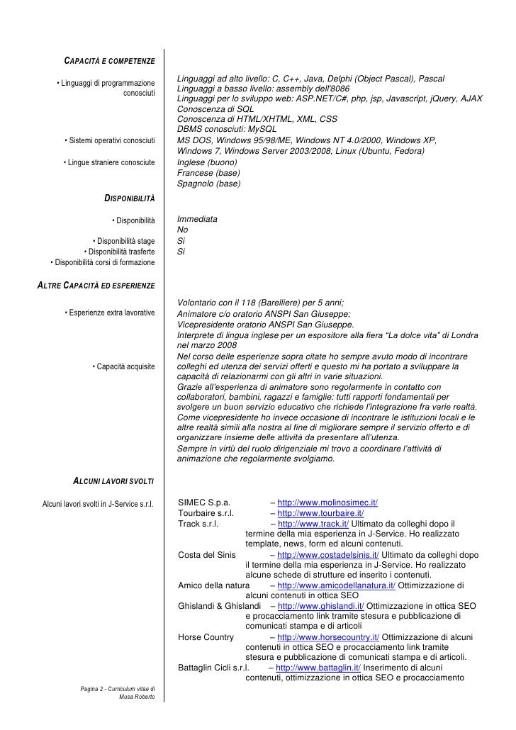 Resume summary examples image