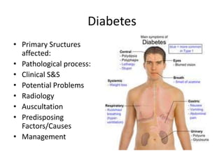 Diabetes
• Primary Sructures
  affected:
• Pathological process:
• Clinical S&S
• Potential Problems
• Radiology
• Auscultation
• Predisposing
  Factors/Causes
• Management
 
