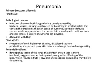 Pneumonia
Primary Sructures affected:
lung tissue

Pathological process:
• infection of one or both lungs which is usually caused by
    bacteria, viruses, or fungi. contracted by breathing in small droplets that
    contain the organisms that can cause pneumonia. Normally immune
    system would suppress virus. if a person is in a weakened condition from
    another illness, a severe pneumonia can develop.
• Alveoli fill with fluid
Clinical S&S:
• symptoms of cold, high fever, shaking, discolored sputum
    production, sharp chest pain, skin color may change due to deoxygenating
Potential Problems:
• ifthe spongy tissue of the lungs that contain the air sacs is more
    involved., oxygenation can be impaired, along with stiffening of the
    lung, which results in SOB. if low immune response pneumonia may be life
    threatening.
 