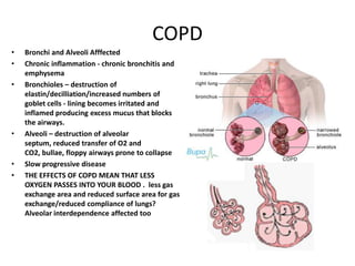 COPD
•   Bronchi and Alveoli Afffected
•   Chronic inflammation - chronic bronchitis and
    emphysema
•   Bronchioles – destruction of
    elastin/decilliation/increased numbers of
    goblet cells - lining becomes irritated and
    inflamed producing excess mucus that blocks
    the airways.
•   Alveoli – destruction of alveolar
    septum, reduced transfer of O2 and
    CO2, bullae, floppy airways prone to collapse
•   Slow progressive disease
•   THE EFFECTS OF COPD MEAN THAT LESS
    OXYGEN PASSES INTO YOUR BLOOD . less gas
    exchange area and reduced surface area for gas
    exchange/reduced compliance of lungs?
    Alveolar interdependence affected too
 