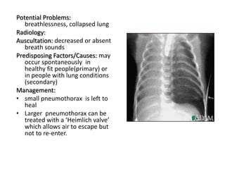 Potential Problems:
   breathlessness, collapsed lung
Radiology:
Auscultation: decreased or absent
   breath sounds
Predisposing Factors/Causes: may
   occur spontaneously in
   healthy fit people(primary) or
   in people with lung conditions
   (secondary)
Management:
• small pneumothorax is left to
   heal
• Larger pneumothorax can be
   treated with a ‘Heimlich valve’
   which allows air to escape but
   not to re-enter.
 