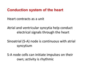 Conduction system of the heart
Heart contracts as a unit
Atrial and ventricular syncytia help conduct
electrical signals through the heart
Sinoatrial (S-A) node is continuous with atrial
syncytium
S-A node cells can initiate impulses on their
own; activity is rhythmic
 