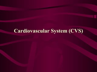 Cardiovascular System (CVS)

 