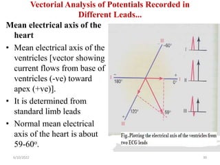 Vectorial Analysis of Potentials Recorded in
Different Leads...
Mean electrical axis of the
heart
• Mean electrical axis of the
ventricles [vector showing
current flows from base of
ventricles (-ve) toward
apex (+ve)].
• It is determined from
standard limb leads
• Normal mean electrical
axis of the heart is about
59-60o.
6/10/2022 30
 