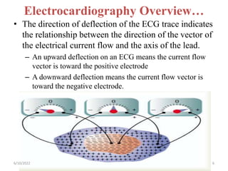 Electrocardiography Overview…
• The direction of deflection of the ECG trace indicates
the relationship between the direction of the vector of
the electrical current flow and the axis of the lead.
– An upward deflection on an ECG means the current flow
vector is toward the positive electrode
– A downward deflection means the current flow vector is
toward the negative electrode.
6/10/2022 6
 