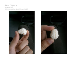 Real Objects
Bri Murphy
CT scan data, FDM 3D print ABS
 