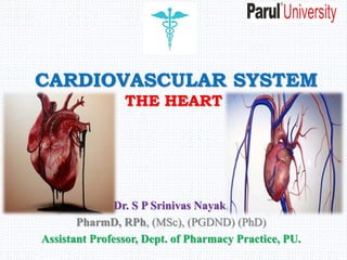 CARDIOVASCULAR SYSTEM
THE HEART
Dr. S P Srinivas Nayak,
PharmD, RPh, (MSc), (PGDND) (PhD)
Assistant Professor, Dept. of Pharmacy Practice, PU.
 
