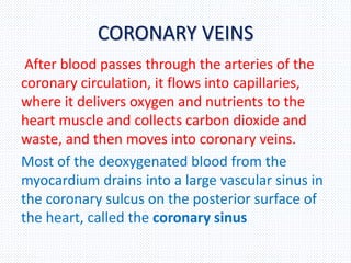 CORONARY VEINS
After blood passes through the arteries of the
coronary circulation, it flows into capillaries,
where it delivers oxygen and nutrients to the
heart muscle and collects carbon dioxide and
waste, and then moves into coronary veins.
Most of the deoxygenated blood from the
myocardium drains into a large vascular sinus in
the coronary sulcus on the posterior surface of
the heart, called the coronary sinus
 