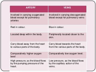 ARTERY VEINS
Involved in carrying oxygenated
blood except for pulmonary
arteries
Involved in carrying deoxygenated
blood except for pulmonary veins
Red in colour. Blue in colour.
Located deep within the body. Peripherally located closer to the
skin.
Carry blood away from the heart
to various parts of the body.
Carry blood towards the heart
from the various parts of the body.
Comparatively higher oxygen
level
Comparatively low oxygen level.
High pressure, as the blood flows
by the pumping pressure of the
heart.
Low pressure, as the blood flows
by the capillary action of the
veins.
 
