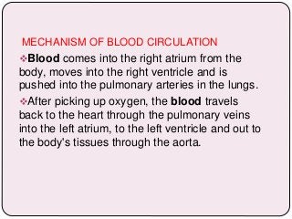 MECHANISM OF BLOOD CIRCULATION
Blood comes into the right atrium from the
body, moves into the right ventricle and is
pushed into the pulmonary arteries in the lungs.
After picking up oxygen, the blood travels
back to the heart through the pulmonary veins
into the left atrium, to the left ventricle and out to
the body's tissues through the aorta.
 