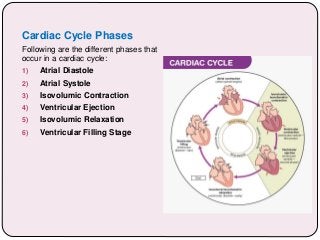 Cardiac Cycle Phases
Following are the different phases that
occur in a cardiac cycle:
1) Atrial Diastole
2) Atrial Systole
3) Isovolumic Contraction
4) Ventricular Ejection
5) Isovolumic Relaxation
6) Ventricular Filling Stage
 