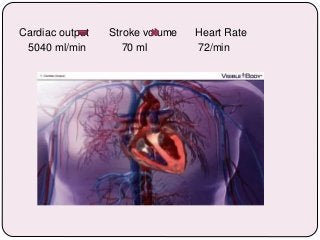 Cardiac output Stroke volume Heart Rate
5040 ml/min 70 ml 72/min
 