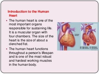 Introduction to the Human
Heart
 The human heart is one of the
most important organs
responsible for sustaining life.
It is a muscular organ with
four chambers. The size of the
heart is the size of about a
clenched fist.
 The human heart functions
throughout a person’s lifespan
and is one of the most robust
and hardest working muscles
in the human body.
 