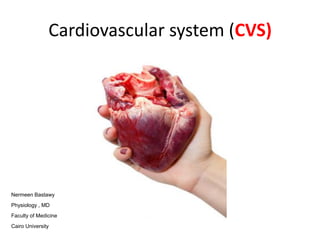 Cardiovascular system (CVS)
Nermeen Bastawy
Physiology , MD
Faculty of Medicine
Cairo University
 