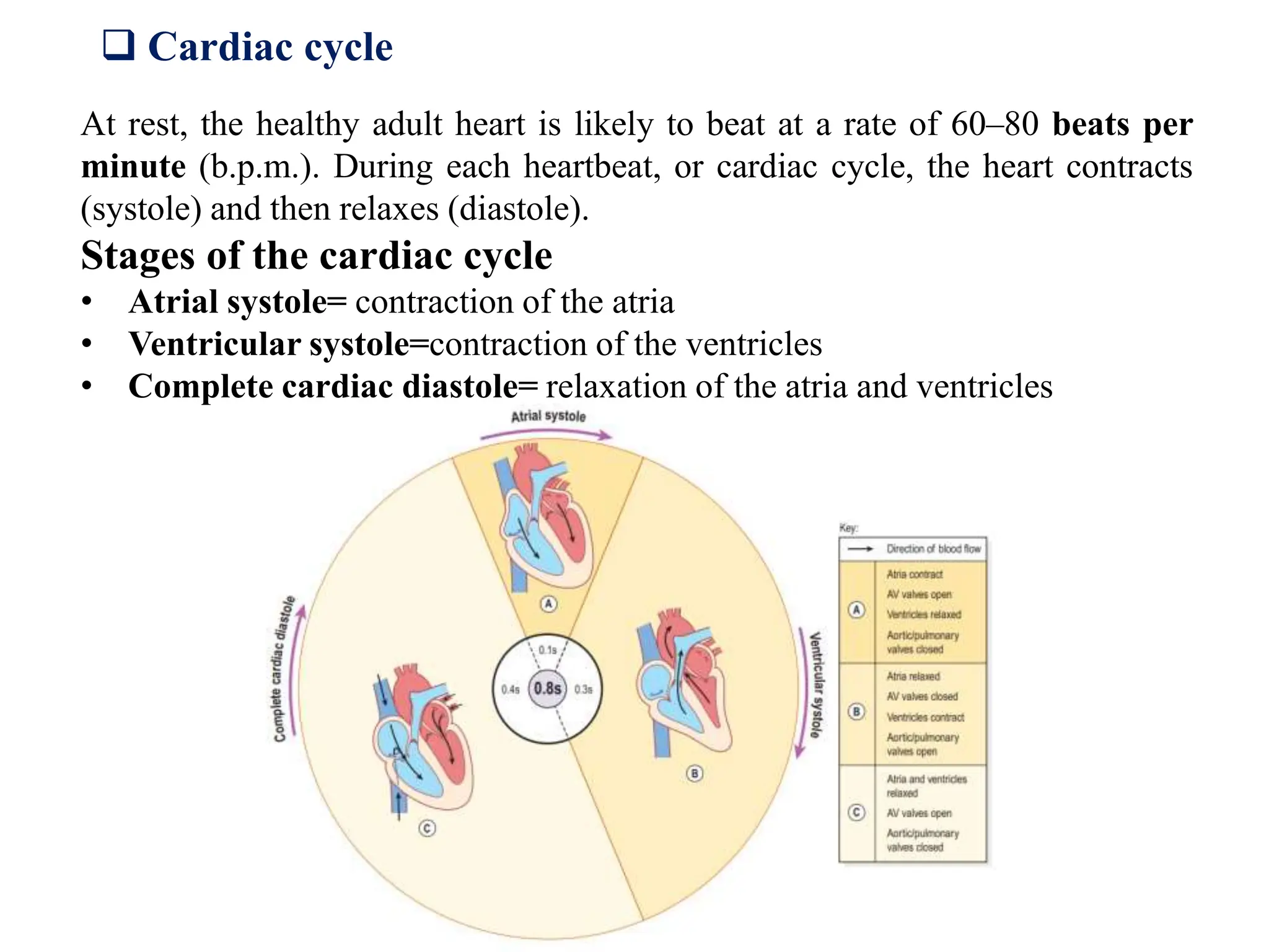 Cardiovascular system | PPTX