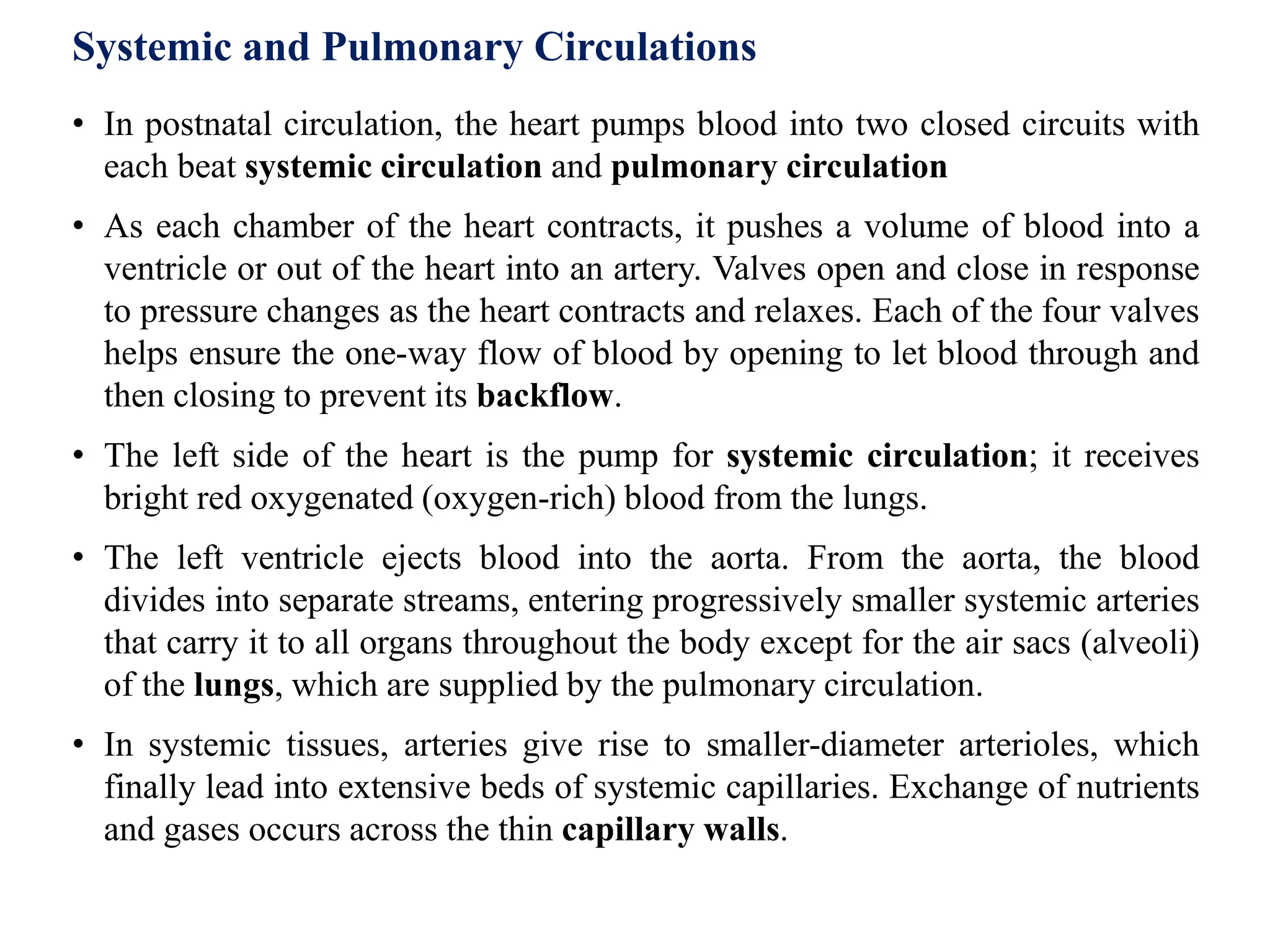 Cardiovascular system | PPTX