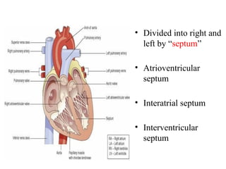 Cardio vascular system of a human body | PPTX