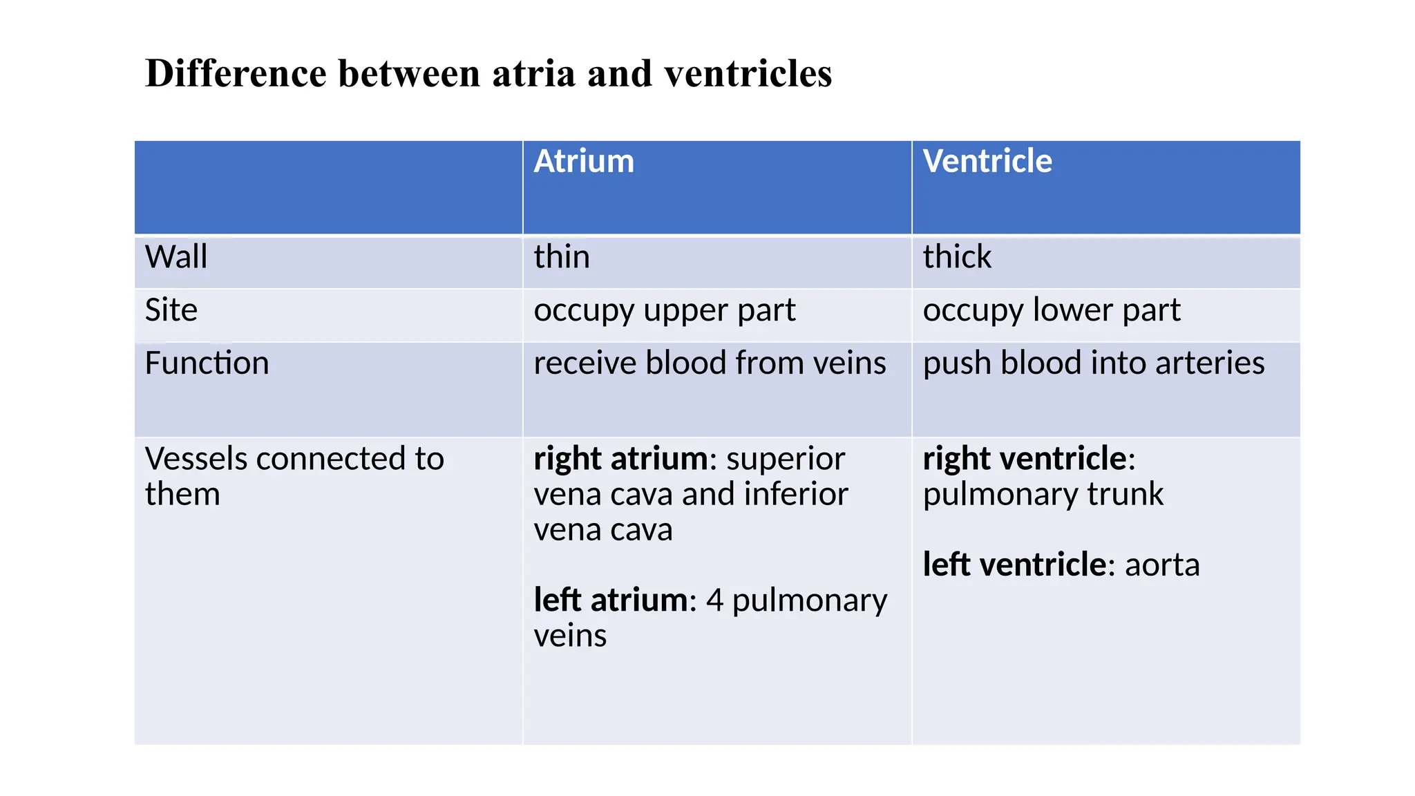 Difference between atria and ventricles
Atrium Ventricle
Wall thin thick
Site occupy upper part occupy lower part
Function receive blood from veins push blood into arteries
Vessels connected to
them
right atrium: superior
vena cava and inferior
vena cava
left atrium: 4 pulmonary
veins
right ventricle:
pulmonary trunk
left ventricle: aorta
 