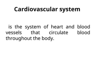 Comprehensive Overview of Cardiovascular Physiology and Heart Function ...
