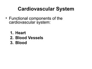 Comprehensive Overview of Cardiovascular Physiology and Heart Function ...