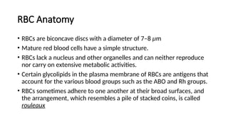 Comprehensive Overview of the Cardiovascular System and Blood ...