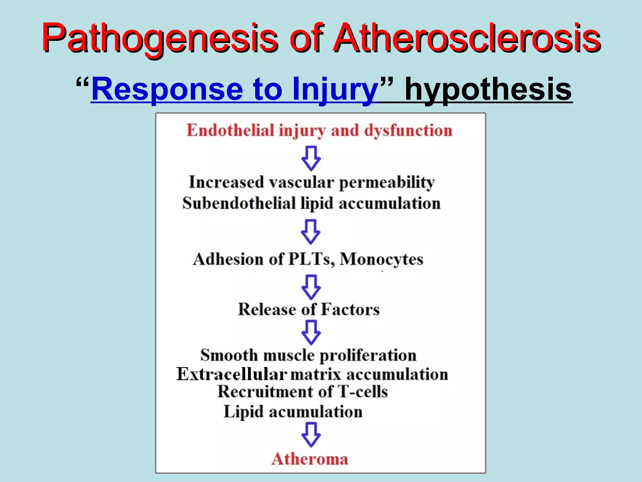Pathogenesis of AtherosclerosisPathogenesis of Atherosclerosis
“Response to Injury” hypothesis
 