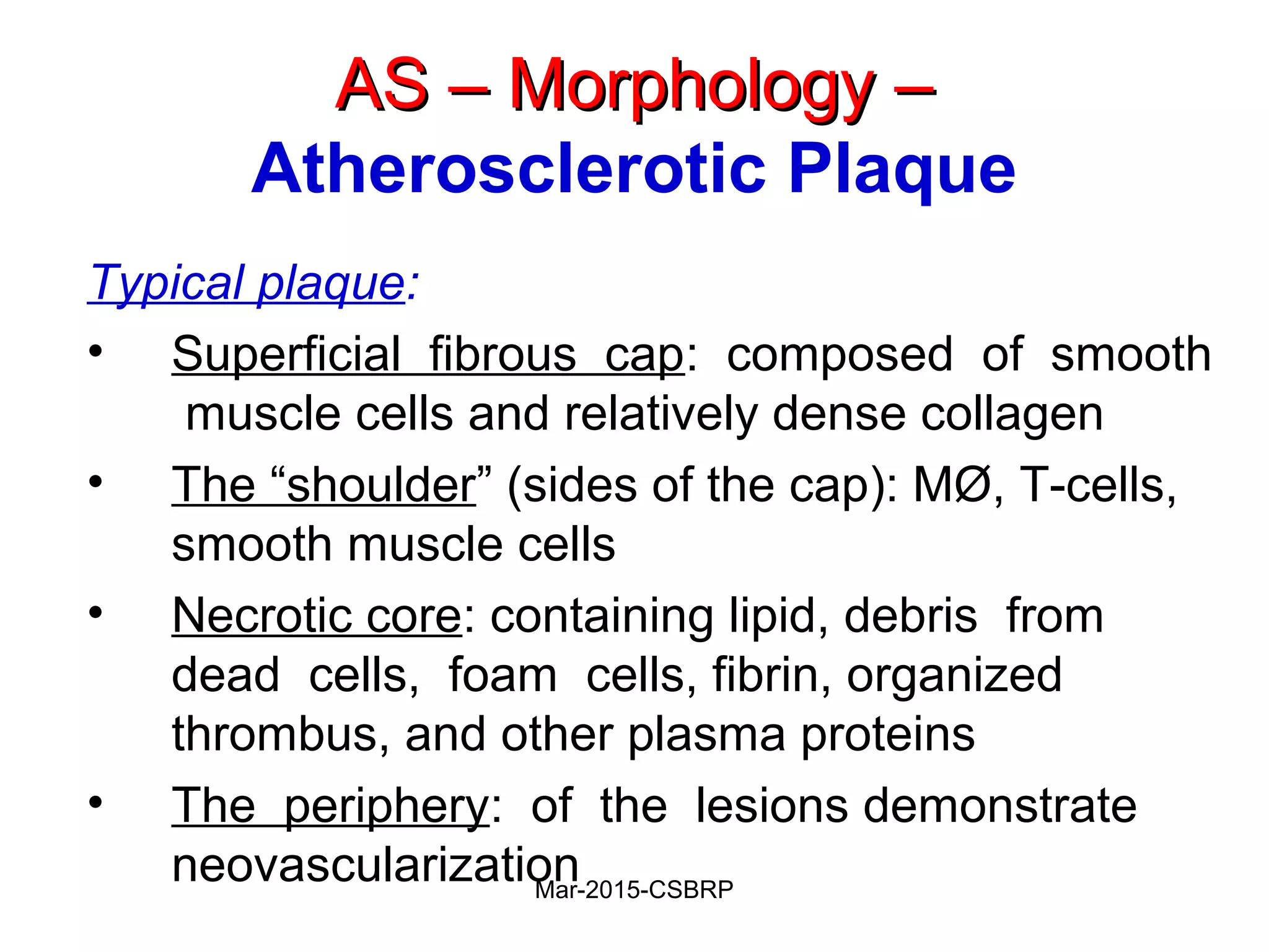 AS – Morphology –AS – Morphology –
Atherosclerotic Plaque
Typical plaque:
• Superficial fibrous cap: composed of smooth
muscle cells and relatively dense collagen
• The “shoulder” (sides of the cap): MØ, T-cells,
smooth muscle cells
• Necrotic core: containing lipid, debris from
dead cells, foam cells, fibrin, organized
thrombus, and other plasma proteins
• The periphery: of the lesions demonstrate
neovascularizationMar-2015-CSBRP
 