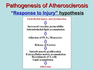Pathogenesis of AtherosclerosisPathogenesis of Atherosclerosis
“Response to Injury” hypothesis
 