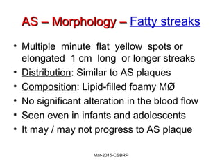 AS – Morphology –AS – Morphology – Fatty streaks
• Multiple minute flat yellow spots or
elongated 1 cm long or longer streaks
• Distribution: Similar to AS plaques
• Composition: Lipid-filled foamy MØ
• No significant alteration in the blood flow
• Seen even in infants and adolescents
• It may / may not progress to AS plaque
Mar-2015-CSBRP
 