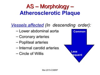 AS – Morphology –AS – Morphology –
Atherosclerotic Plaque
Vessels affected (In descending order):
– Lower abdominal aorta
– Coronary arteries
– Popliteal arteries
– Internal carotid arteries
– Circle of Willis
Common
Less
frequent
Mar-2015-CSBRP
 