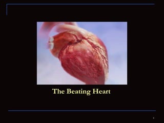 The Beating Heart 