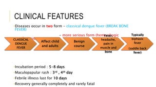 CLINICAL FEATURES
•Diseases occur in two form - classical dengue fever (BREAK BONE
FEVER)
- more serious form (hemorrhagic
manifestation)
•Incubation period : 5-8 days
•Maculopapular rash : 3rd , 4th day
•Febrile illness last for 10 days
•Recovery generally completely and rarely fatal
CLASSICAL
DENGUE
FEVER
Affect child
and adults
Benign
course
Fever,
headache,
pain in
muscle and
bone
Typically
biphasic
fever
(saddle back
fever)
 