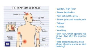 Sudden, high fever
Severe headaches
Pain behind the eyes
Severe joint and muscle pain
Fatigue
Nausea
Vomiting
Skin rash, which appears two
to five days after the onset of
fever
Mild bleeding (such a nose
bleed, bleeding gums, or easy
bruising)
 