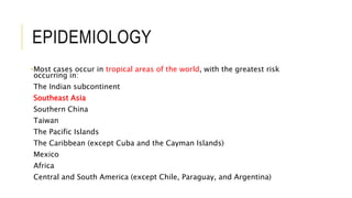 EPIDEMIOLOGY
•Most cases occur in tropical areas of the world, with the greatest risk
occurring in:
The Indian subcontinent
Southeast Asia
Southern China
Taiwan
The Pacific Islands
The Caribbean (except Cuba and the Cayman Islands)
Mexico
Africa
Central and South America (except Chile, Paraguay, and Argentina)
 