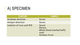 A) SPECIMEN
PURPOSE SAMPLE
Antibody detection Serum
Antigen detection Serum
Isolation of virus and PCR Serum
Plasma
Whole blood (washed buffy
coat)
Autopsy tissue
 