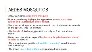 AEDES MOSQUITOS
•Aedes aegypti is a day biting mosquito.
•Most active during daylight, for approximately two hours after
sunrise and several hours before sunset.
•The males of all species of mosquitoes do not bite humans or animals
of any species, they live on fruit.
• The female of Aedes aegypti feed not only on fruit, but also on
blood.
•Living near man Aedes aegypti has become largely dependent on and
adapted to humans.
• The mosquito has greatly reduced the `humming' sound it makes
with their wings.
• The insect is very fast in flight unless gorged with blood.
 