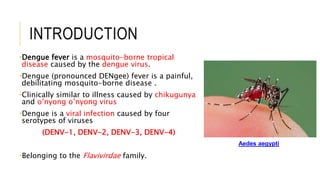 INTRODUCTION
•Dengue fever is a mosquito-borne tropical
disease caused by the dengue virus.
•Dengue (pronounced DENgee) fever is a painful,
debilitating mosquito-borne disease .
•Clinically similar to illness caused by chikugunya
and o’nyong o’nyong virus
•Dengue is a viral infection caused by four
serotypes of viruses
(DENV-1, DENV-2, DENV-3, DENV-4)
•Belonging to the Flavivirdae family.
Aedes aegypti
 