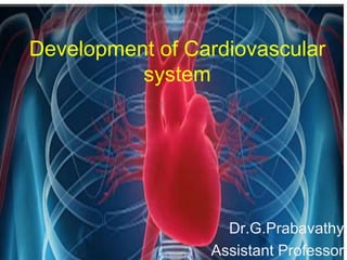 Development of Cardiovascular
system
Dr.G.Prabavathy
Assistant Professor
 