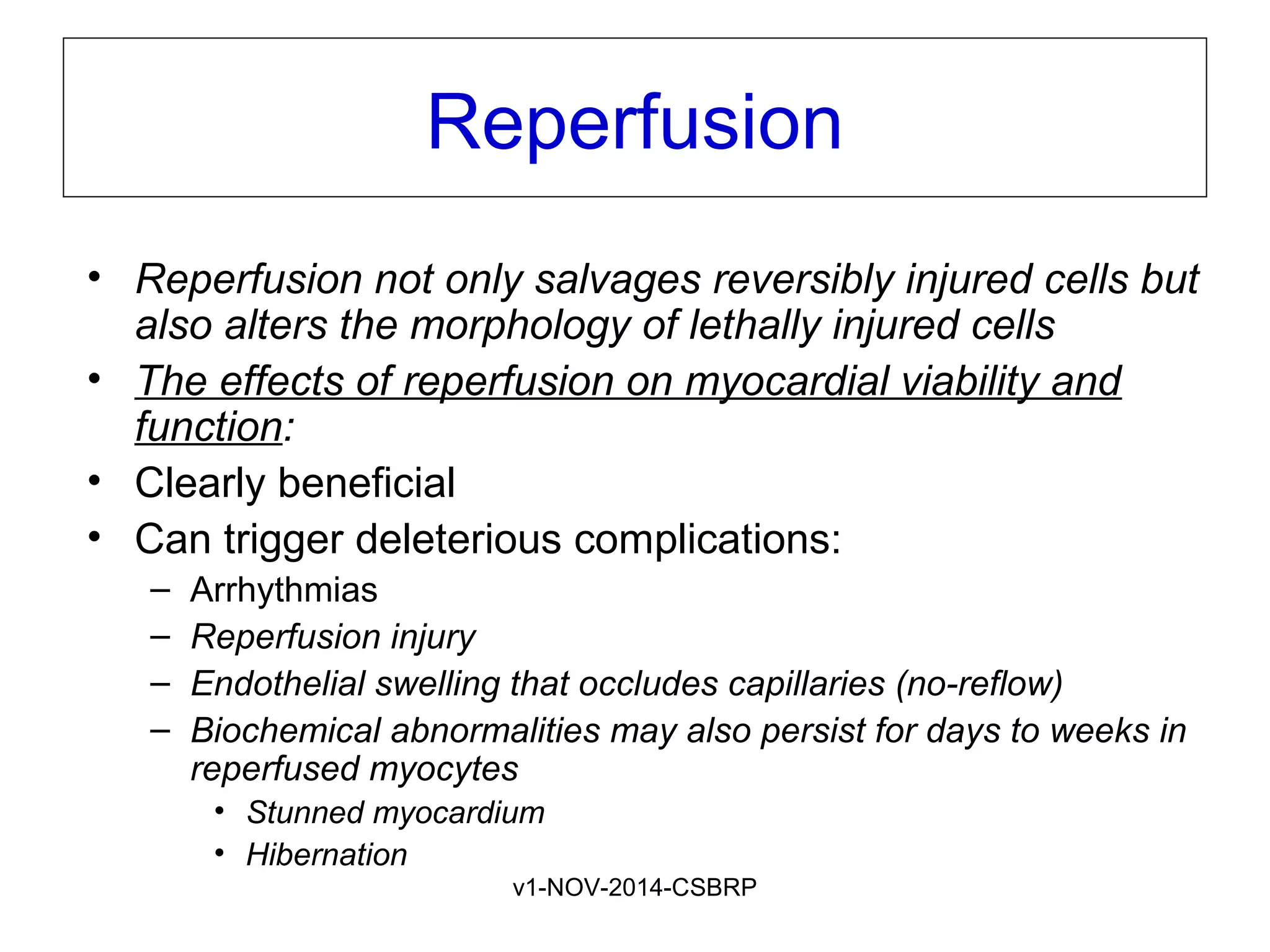v1-NOV-2014-CSBRP
Reperfusion
• Reperfusion not only salvages reversibly injured cells but
also alters the morphology of lethally injured cells
• The effects of reperfusion on myocardial viability and
function:
• Clearly beneficial
• Can trigger deleterious complications:
– Arrhythmias
– Reperfusion injury
– Endothelial swelling that occludes capillaries (no-reflow)
– Biochemical abnormalities may also persist for days to weeks in
reperfused myocytes
• Stunned myocardium
• Hibernation
 