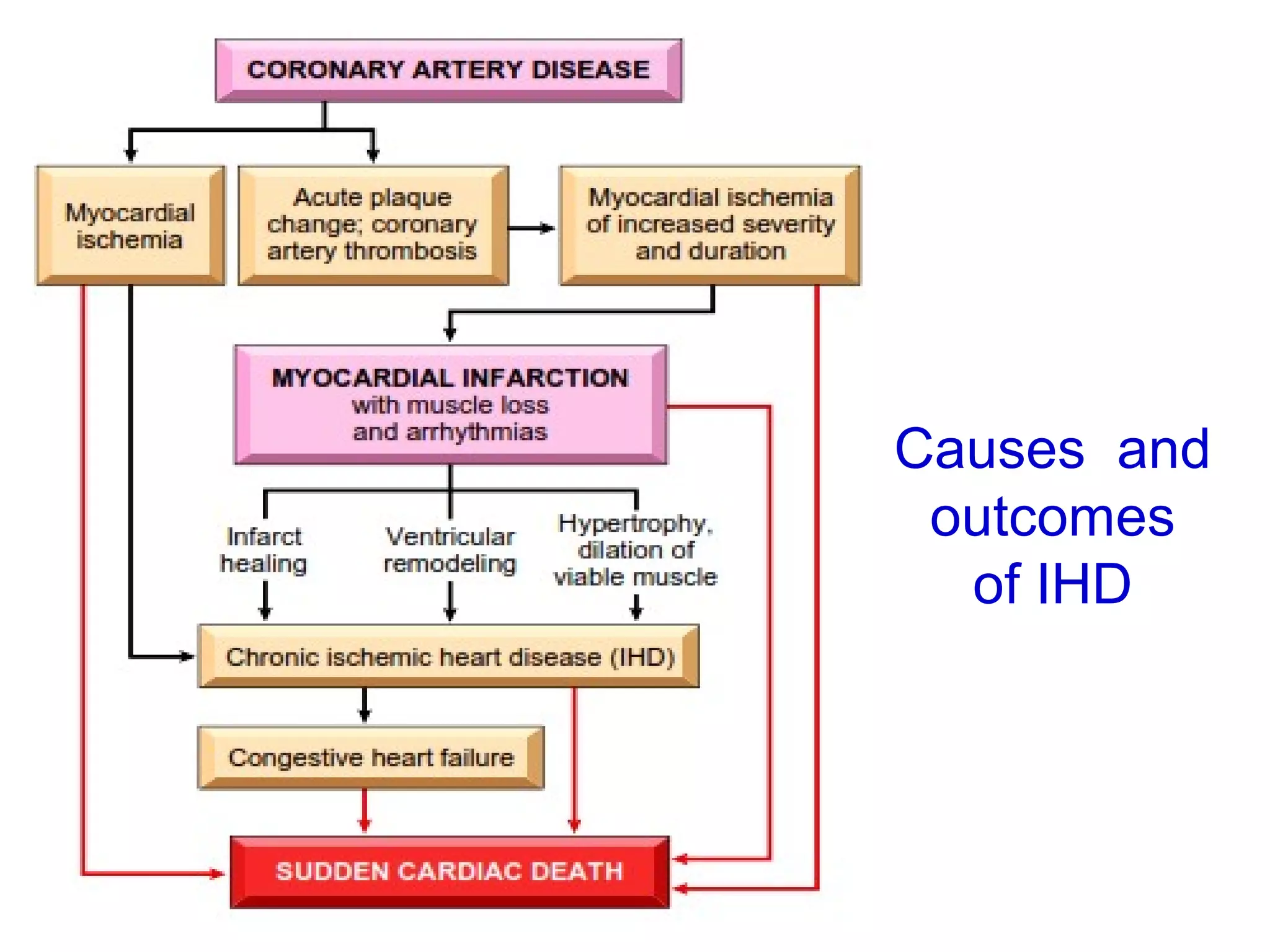 v1-NOV-2014-CSBRP
Causes and
outcomes
of IHD
 