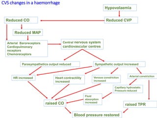 CVS changes in a haemorrhage
Arterial Baroreceptors
Cardiopulmonary
receptors
Chemoreceptors
Central nervous system
cardiovascular centres
Hypovolaemia
Sympathetic output increasedParasympathetics output reduced
Reduced CVPReduced CO
Reduced MAP
HR increased Heart contractility
increased
Arterial constrictionVenous constriction
increased
Fluid
absorption
increased
Capillary hydrostatic
Pressure reduced
raised CO raised TPR
Blood pressure restored
 