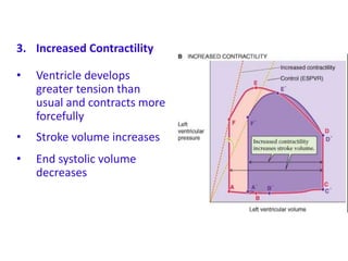 3. Increased Contractility
• Ventricle develops
greater tension than
usual and contracts more
forcefully
• Stroke volume increases
• End systolic volume
decreases
 