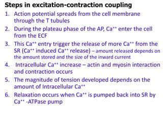 1. Action potential spreads from the cell membrane
through the T tubules
2. During the plateau phase of the AP, Ca++ enter the cell
from the ECF
3. This Ca++ entry trigger the release of more Ca++ from the
SR (Ca++ induced Ca++ release) – amount released depends on
the amount stored and the size of the inward current
4. Intracellular Ca++ increase – actin and myosin interaction
and contraction occurs
5. The magnitude of tension developed depends on the
amount of Intracellular Ca++
6. Relaxation occurs when Ca++ is pumped back into SR by
Ca++ -ATPase pump
Steps in excitation-contraction coupling
 