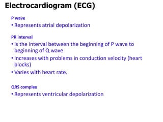 P wave
• Represents atrial depolarization
PR interval
• Is the interval between the beginning of P wave to
beginning of Q wave
• Increases with problems in conduction velocity (heart
blocks)
• Varies with heart rate.
QRS complex
• Represents ventricular depolarization
Electrocardiogram (ECG)
 