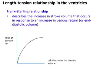 Frank-Starling relationship
• describes the increase in stroke volume that occurs
in response to an increase in venous return (or end-
diastolic volume)
Length-tension relationship in the ventricles
Force of
contract
ion
Left Ventricular End diastolic
Volume
 