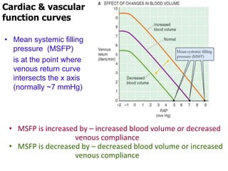 • MSFP is increased by – increased blood volume or decreased
venous compliance
• MSFP is decreased by – decreased blood volume or increased
venous compliance
Cardiac & vascular
function curves
• Mean systemic filling
pressure (MSFP)
is at the point where
venous return curve
intersects the x axis
(normally ~7 mmHg)
 