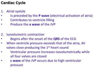 Cardiac Cycle
1. Atrial systole
• Is preceded by the P wave (electrical activation of atria)
• Contributes to ventricle filling
• Produce the a wave of the JVP
2. Isovolumetric contraction
• Begins after the onset of the QRS of the ECG
• When ventricle pressure exceeds that of the atria, AV
valves close producing the 1st heart sound
• Ventricular pressure increases isovolumetrically while
all four valves are closed
• c wave of the JVP occurs due to high ventricular
pressure
 